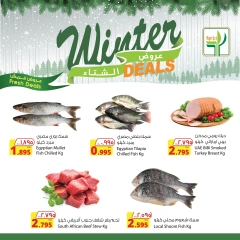 Page 13 in Winter Deals at Agricultural food Kuwait