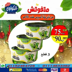 Página 18 en Ofertas de invierno en Mercado Al-Kawawi Egipto