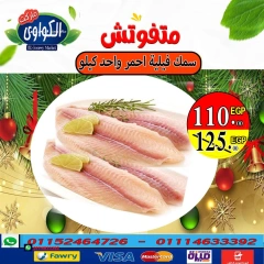 Página 12 en Ofertas de invierno en Mercado Al-Kawawi Egipto