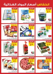 Page 2 in 3 Days Wonder Deals at Gala supermarket UAE