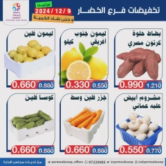 Page 4 in Vegetable and fruit offers at Yarmouk co-op Kuwait