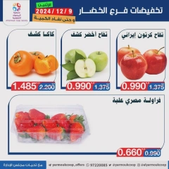 Page 7 in Vegetable and fruit offers at Yarmouk co-op Kuwait