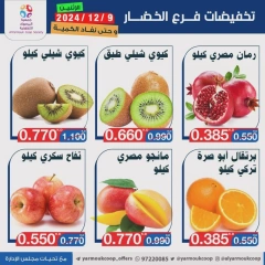 Page 6 in Vegetable and fruit offers at Yarmouk co-op Kuwait