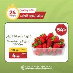 Page 5 in One Day offer at Emirates Cooperative Society UAE