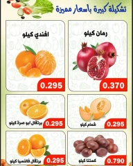 صفحة 6 ضمن عروض الخضار والفاكهة في جمعية ضاحية الظهر الكويت