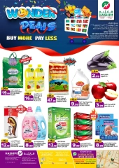 Page 1 in Wonder Deals at Hashim Hypermarket UAE