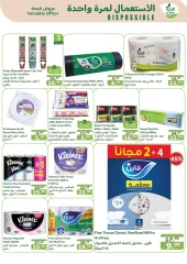 Page 20 in End of Year Discounts at Al Rayah Market Saudi Arabia