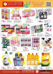 Page 7 in Big Deals at Panda Hypermarket Qatar