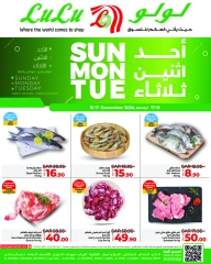 Page 3 dans Dimanche Taha Tasdi Dals chez lulu Arabie Saoudite