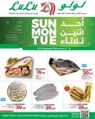 Page 2 dans Dimanche Taha Tasdi Dals chez lulu Arabie Saoudite