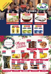 Página 8 en ofertas de navidad en Hipermercado Bashaer Egipto