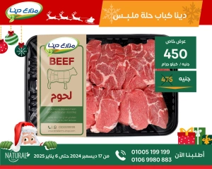 Page 5 in New Year's Sale at Dina Farms Egypt