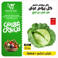 Page 3 in Fresh offers at Green Tree Egypt