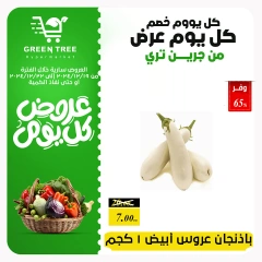 Page 5 in Fresh offers at Green Tree Egypt