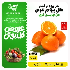 Page 9 in Fresh offers at Green Tree Egypt