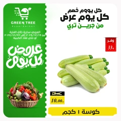 Page 6 in Fresh offers at Green Tree Egypt