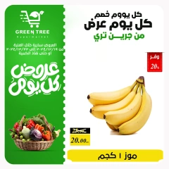 Page 8 in Fresh offers at Green Tree Egypt