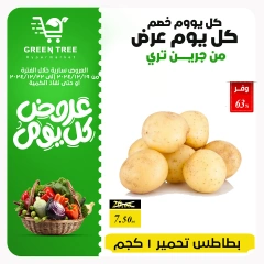 Page 2 in Fresh offers at Green Tree Egypt