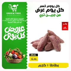 Page 7 in Fresh offers at Green Tree Egypt