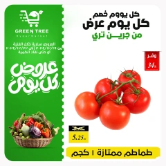 Page 1 in Fresh offers at Green Tree Egypt