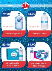 Page 22 in Big Sale at Bassem Market Egypt