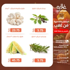 Página 12 en Ofertas de fin de semana en Mercados de Ghallab Egipto