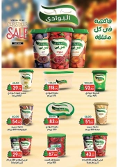 Page 13 in Christmas Offers at Galhom Market Egypt