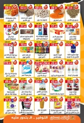 Page 2 in Mega Sale at Hassan Sons Markets Egypt