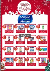 Page 29 in Christmas Offers at El mhallawy Sons Egypt