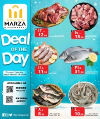 Page 1 in Deal of the Day at Marza Hypermarket Qatar