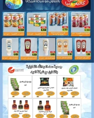 Page 10 in Central market offers at Saad Al-abdullah co-op Kuwait