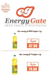 Página 28 en Ofertas de fin de año en Mercados de Ghallab Egipto