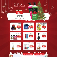 Page 26 in Christmas Offers at Zahran Market Egypt