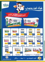 Página 48 en Venta de año nuevo en Spinneys Egipto