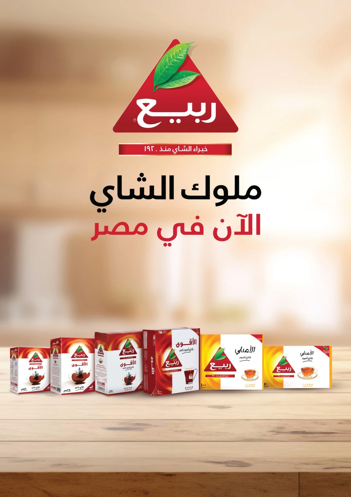 صفحة 6 ضمن عروض الكريسماس في جيان مصر