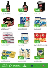 Page 10 in New Year's Sale at Istanbul supermarket UAE