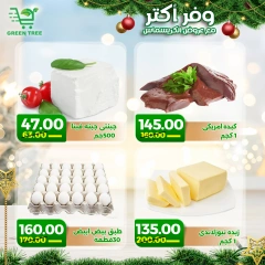 Page 3 in Christmas Offers at Green Tree Egypt