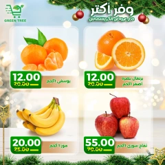 Page 4 in Christmas Offers at Green Tree Egypt