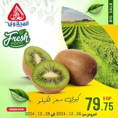 Página 7 en Nuevas ofertas en Mercado El Mahlawy Egipto