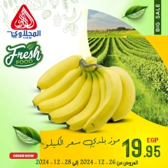 Página 6 en Nuevas ofertas en Mercado El Mahlawy Egipto