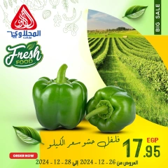 Página 8 en Nuevas ofertas en Mercado El Mahlawy Egipto