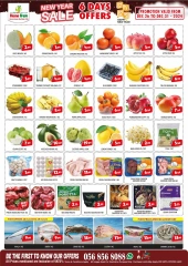 Page 5 in New Year's Sale at Home Fresh supermarket UAE