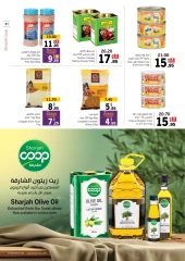 Página 21 en Ofertas de vacaciones en Cooperativa de Sharjah Emiratos Árabes Unidos