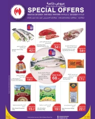 Page 2 in Special Promotion at Mega mart Bahrain