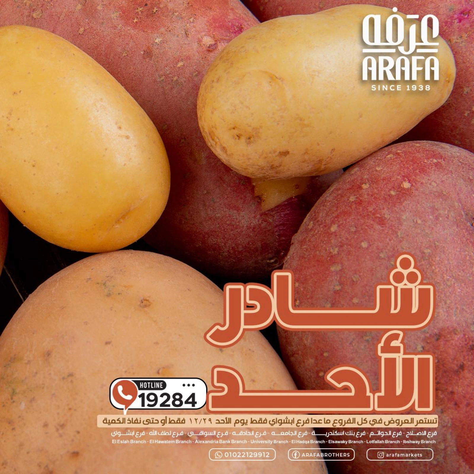 صفحة 1 |عروض الخضار والفاكهة لدي عرفة ماركت مصر