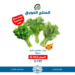 Página 2 en Ofertas de frutas y verduras en cooperativa Dah & Mns Kuwait