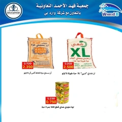 Page 9 in Vegetable and fruit offers at Dahiat Fahd Ahmed co-op Kuwait