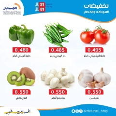 Página 4 en Ofertas de frutas y verduras en cooperativa Al Masayel Kuwait