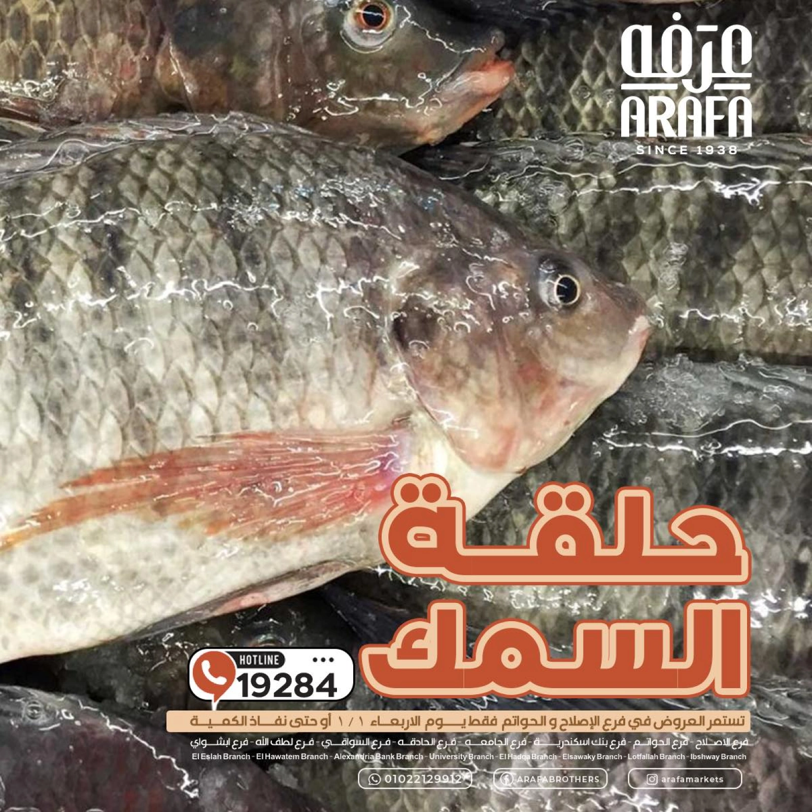 صفحة 1 |عروض حلقة السمك لدي عرفة ماركت مصر