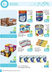 Page 25 in Super Savers at Othaim Markets Saudi Arabia